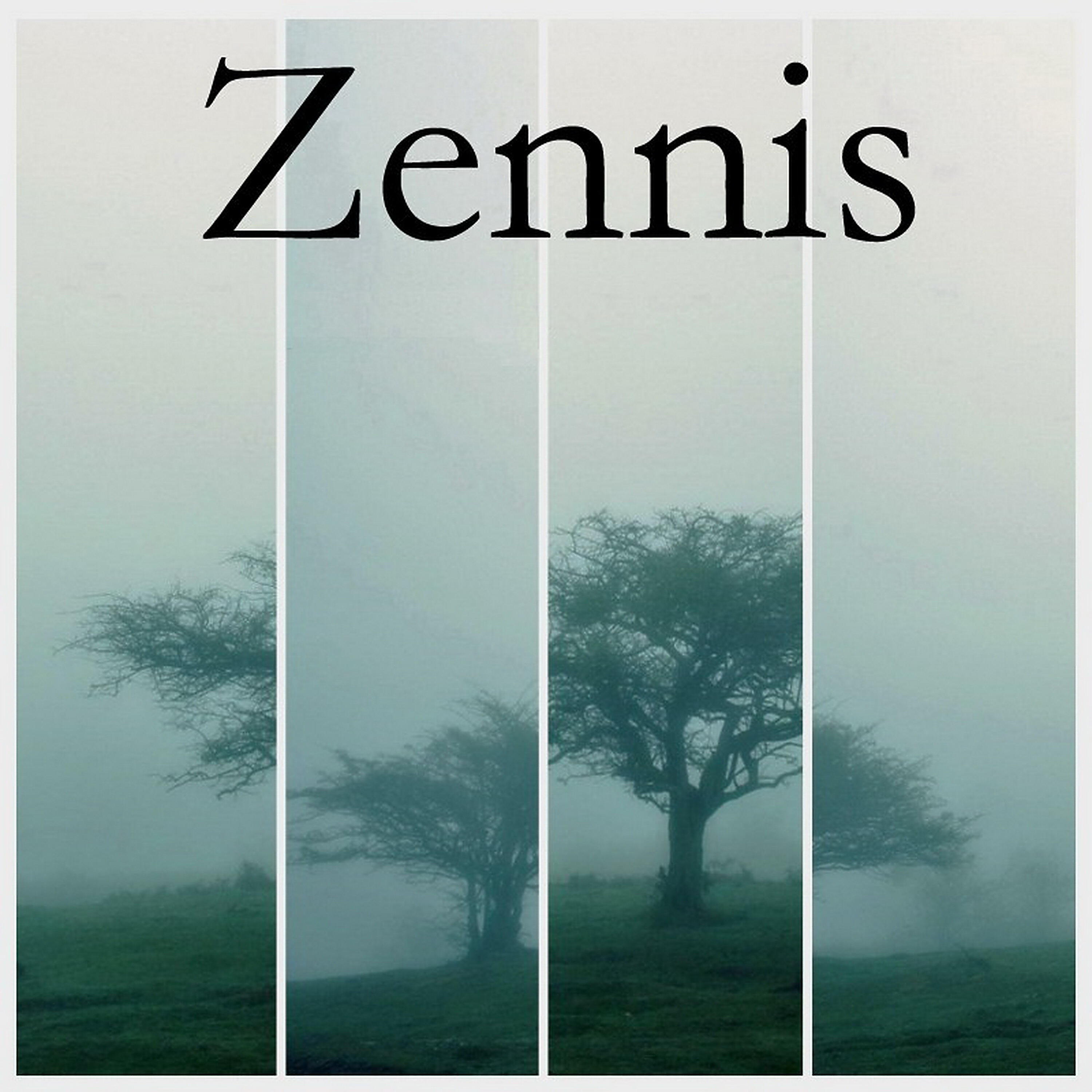 Релиз Zennis