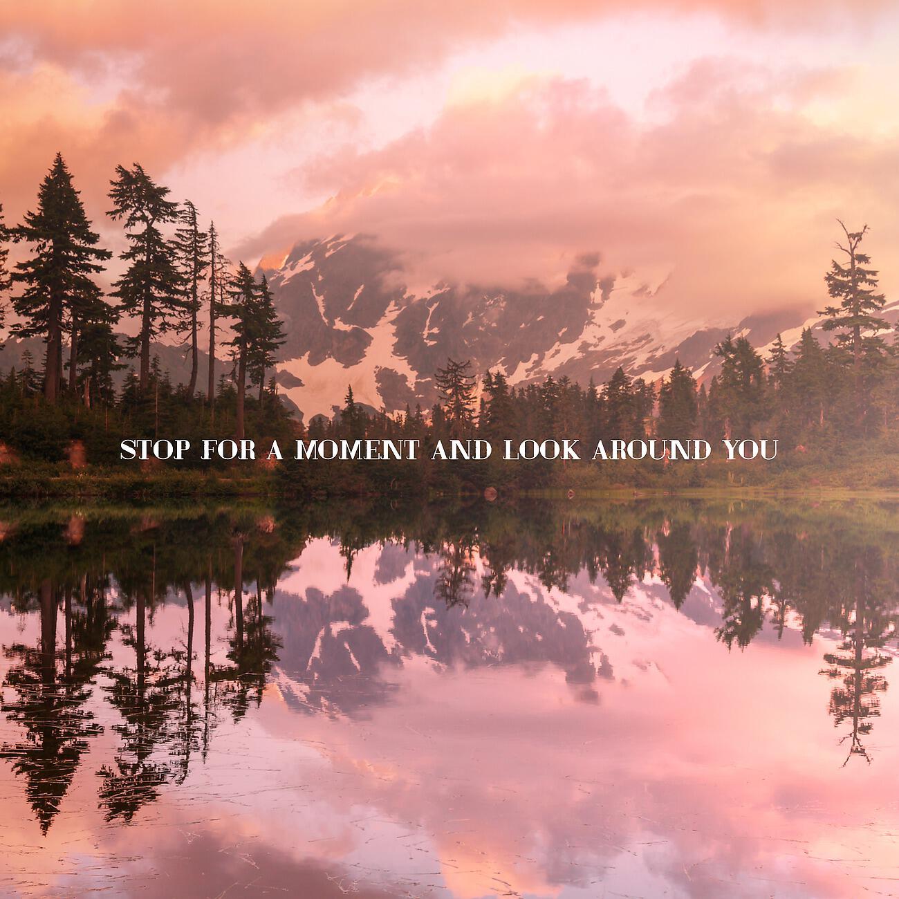 Релиз Stop For a Moment and Look Around You