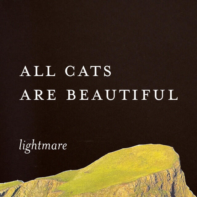 Релиз All Cats Are Beautiful