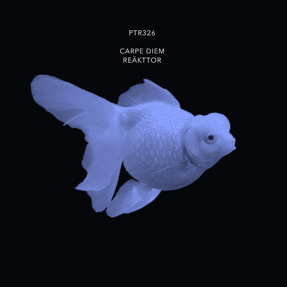 Релиз Carpe Diem
