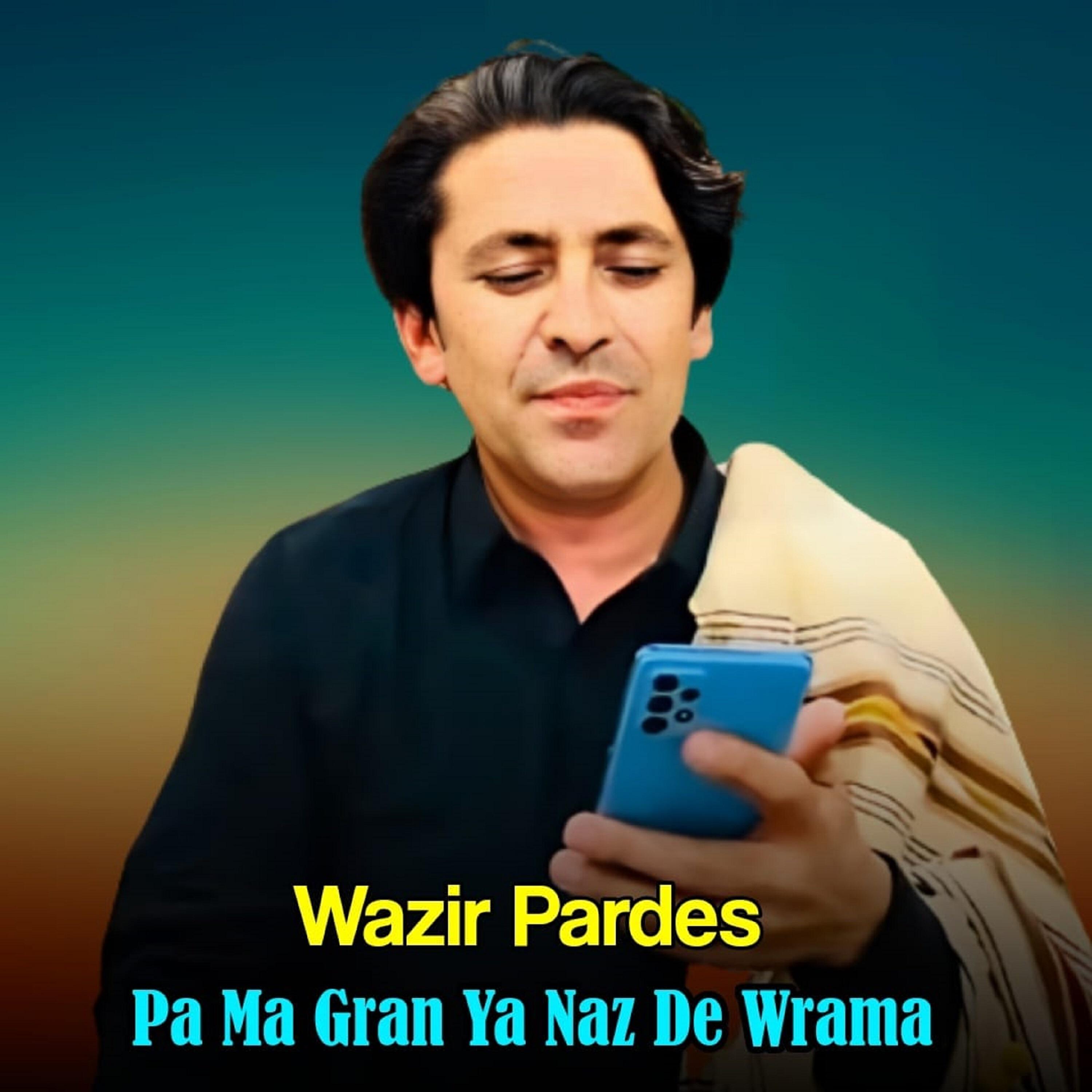 Wazir Pardes