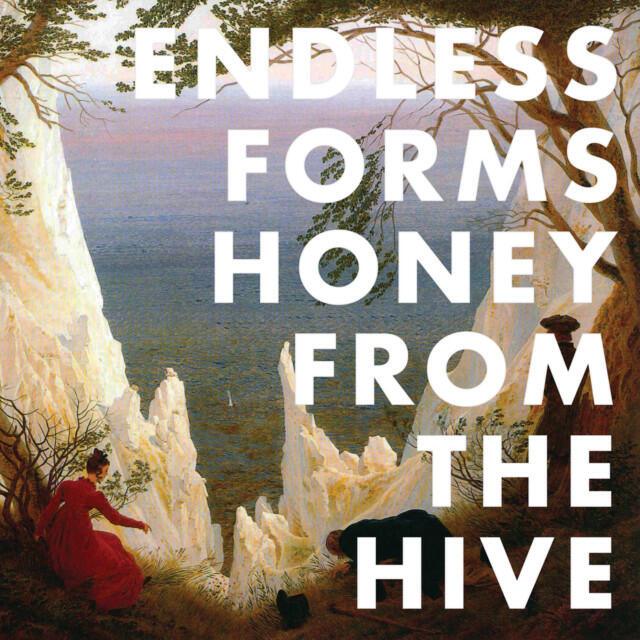 Релиз Honey from the Hive