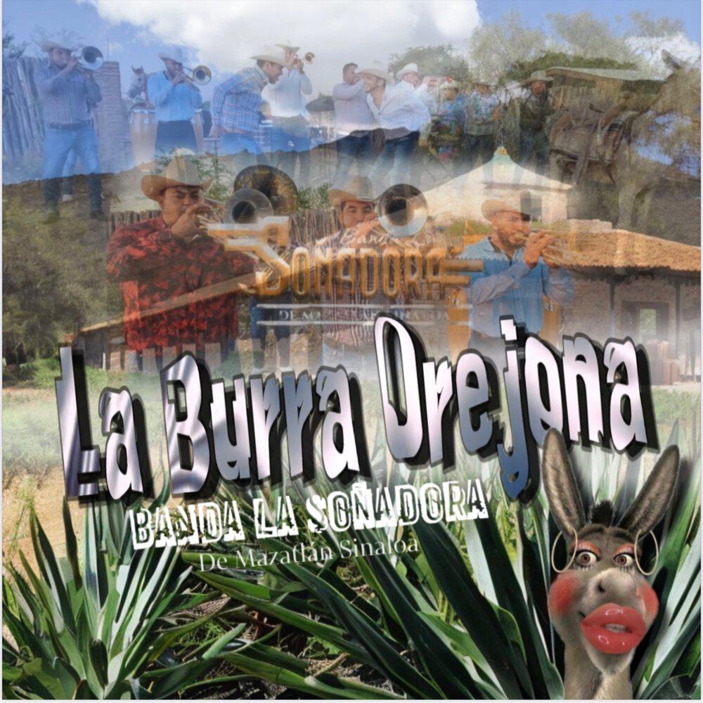 Banda La Soñadora de Mazatlán Sinaloa