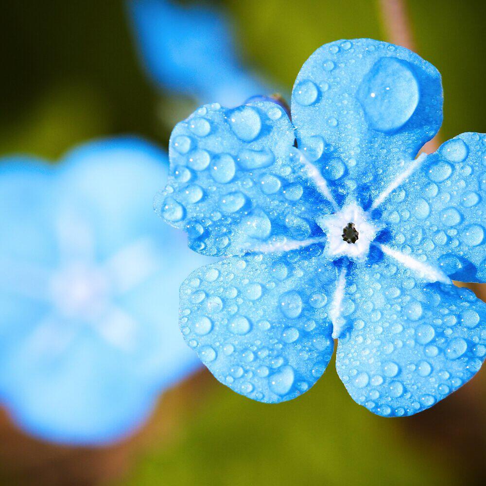 Релиз 11 Peaceful Rain & Nature Recordings for Deep Sleep and Relaxation (Loop)