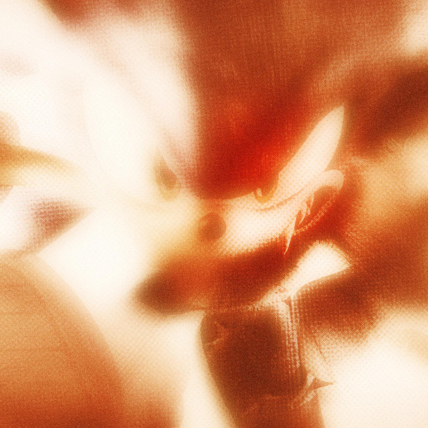 Релиз SuperFlame