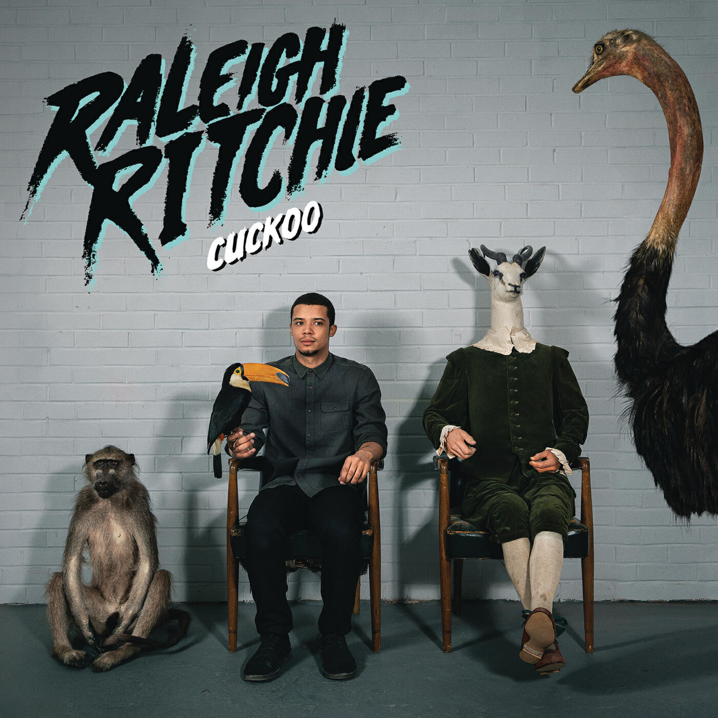 Релиз Cuckoo