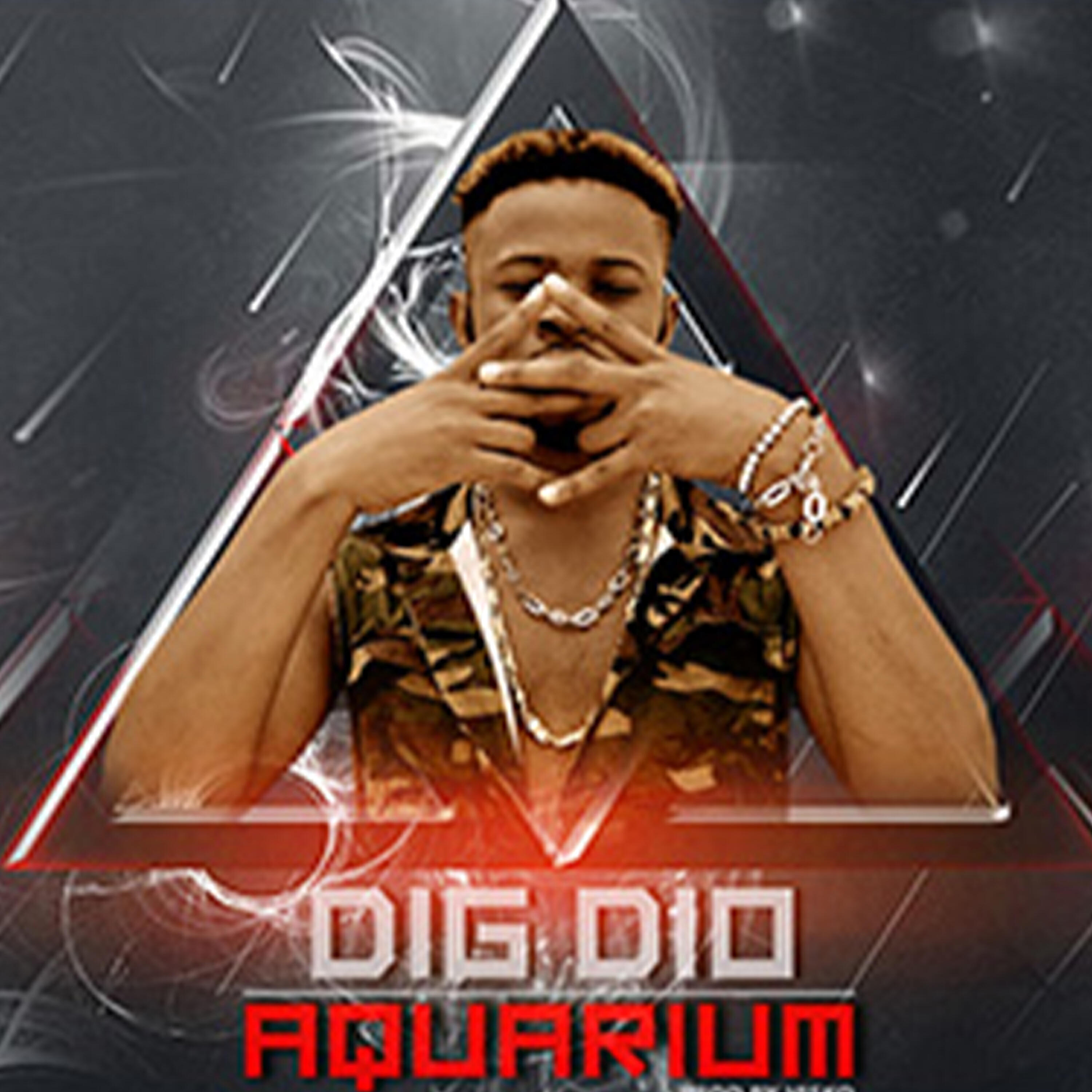 Релиз Aquarium