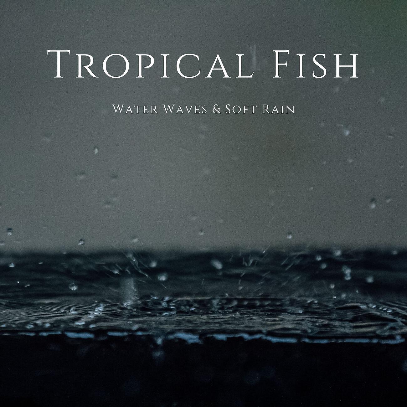 Релиз Water Waves & Soft Rain