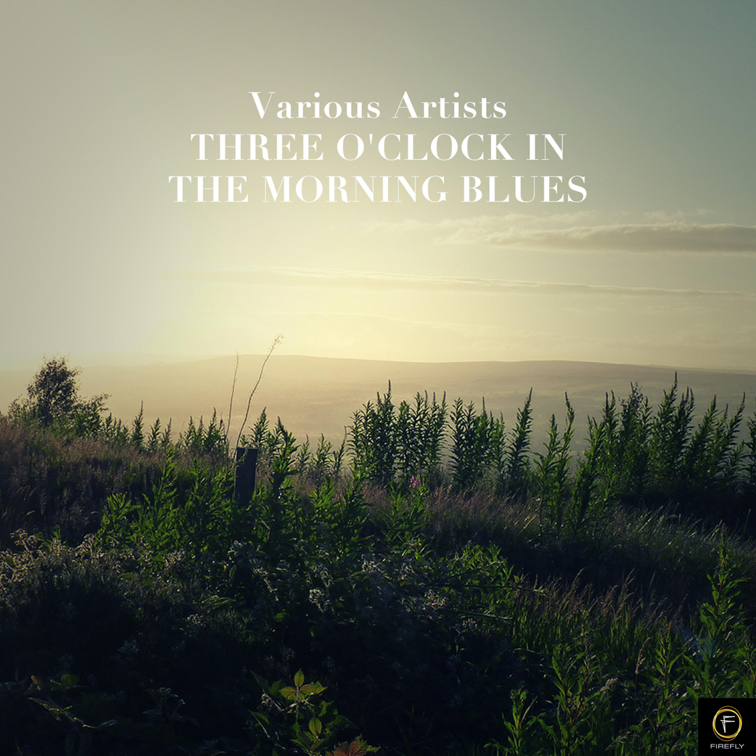 Релиз Three O'clock in the Morning Blues