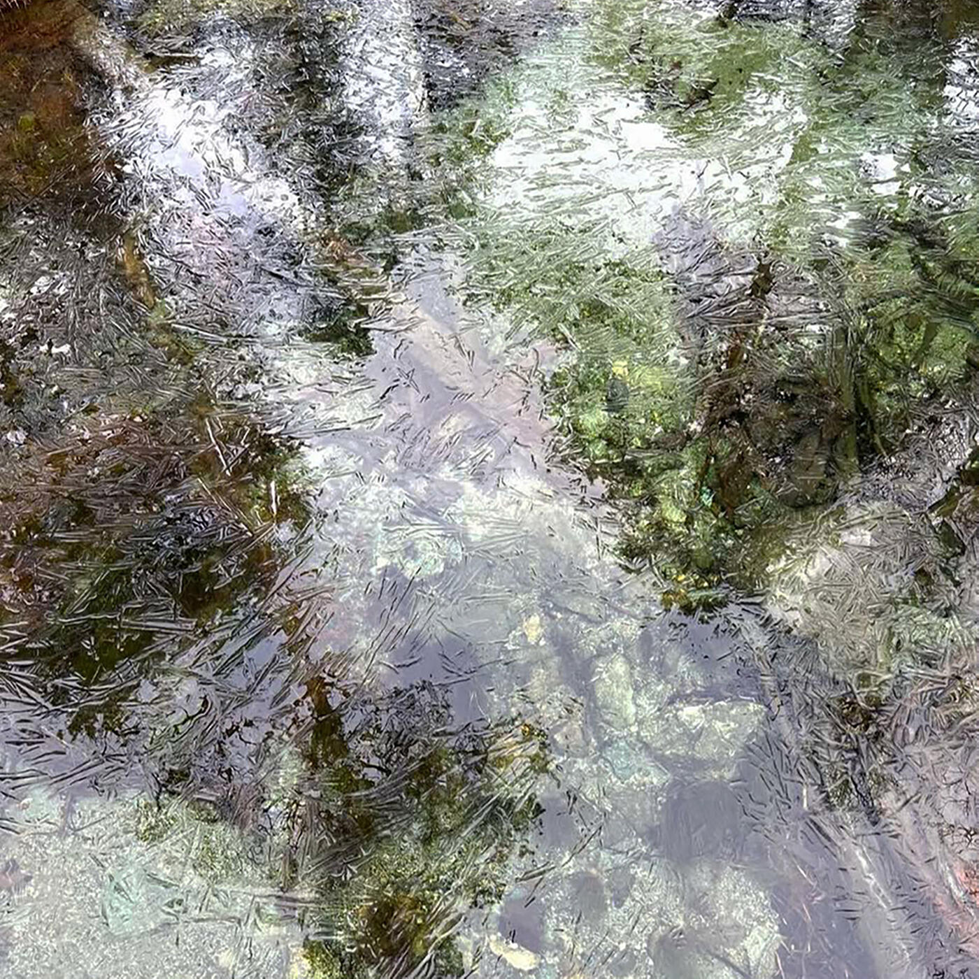 Mellow Subterrain
