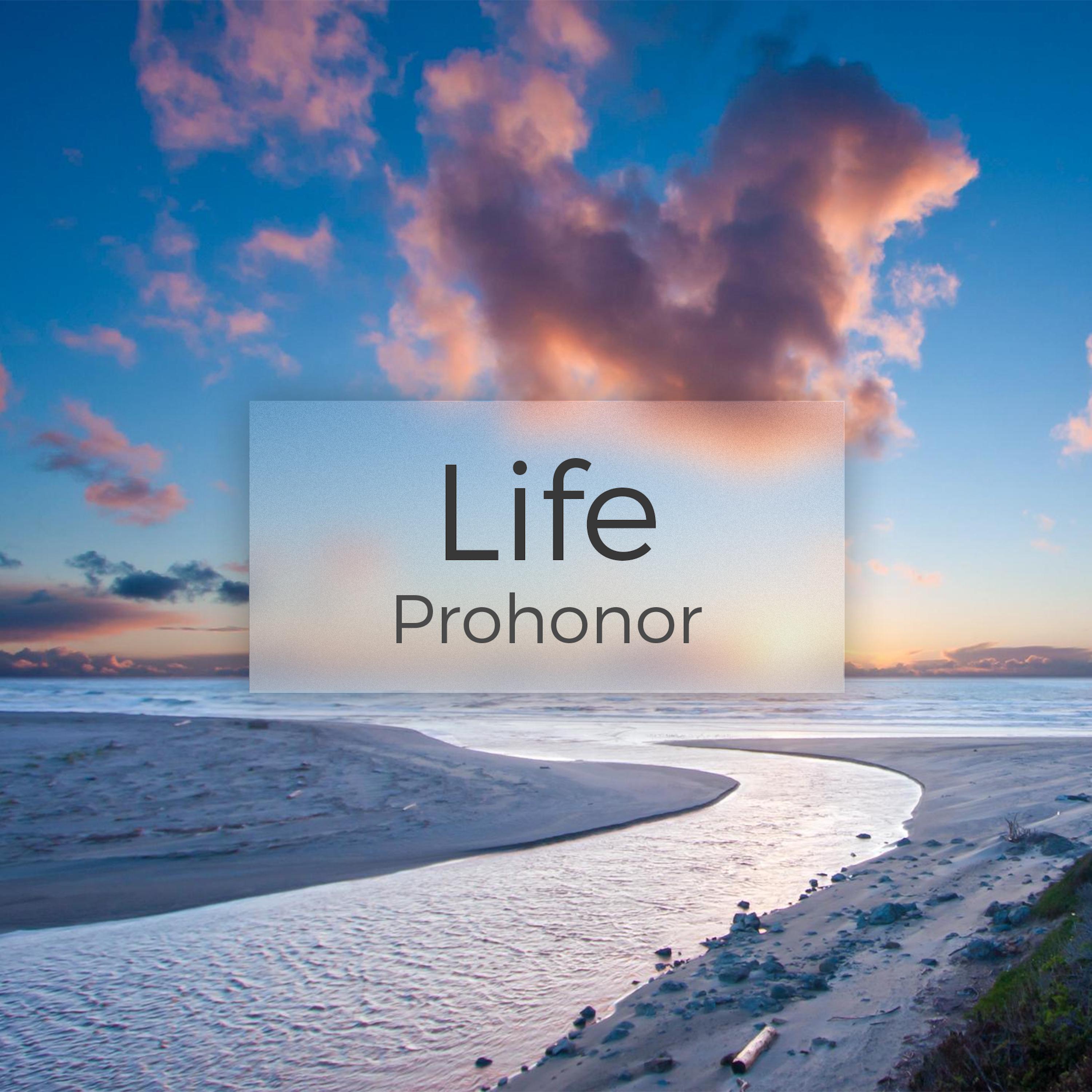 Prohonor