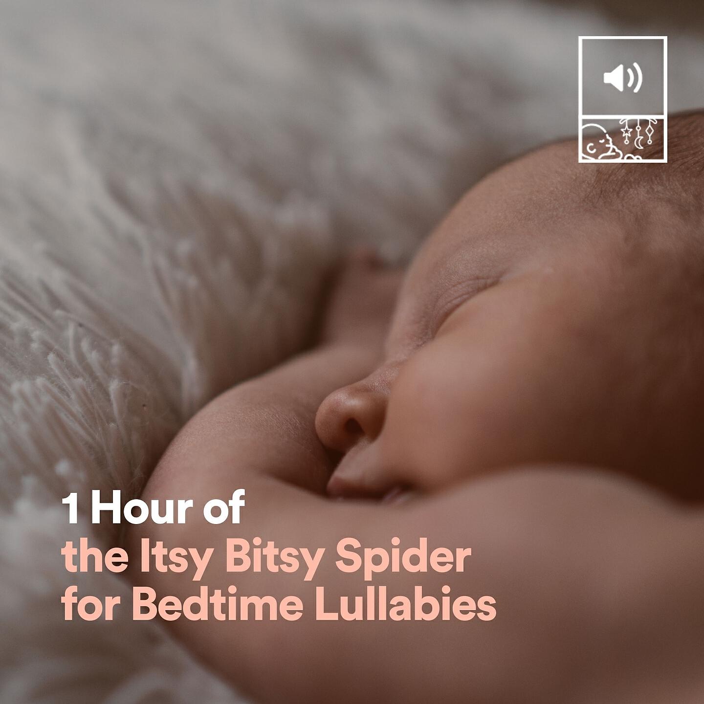 Релиз 1 Hour of the Itsy Bitsy Spider for Bedtime Lullabies
