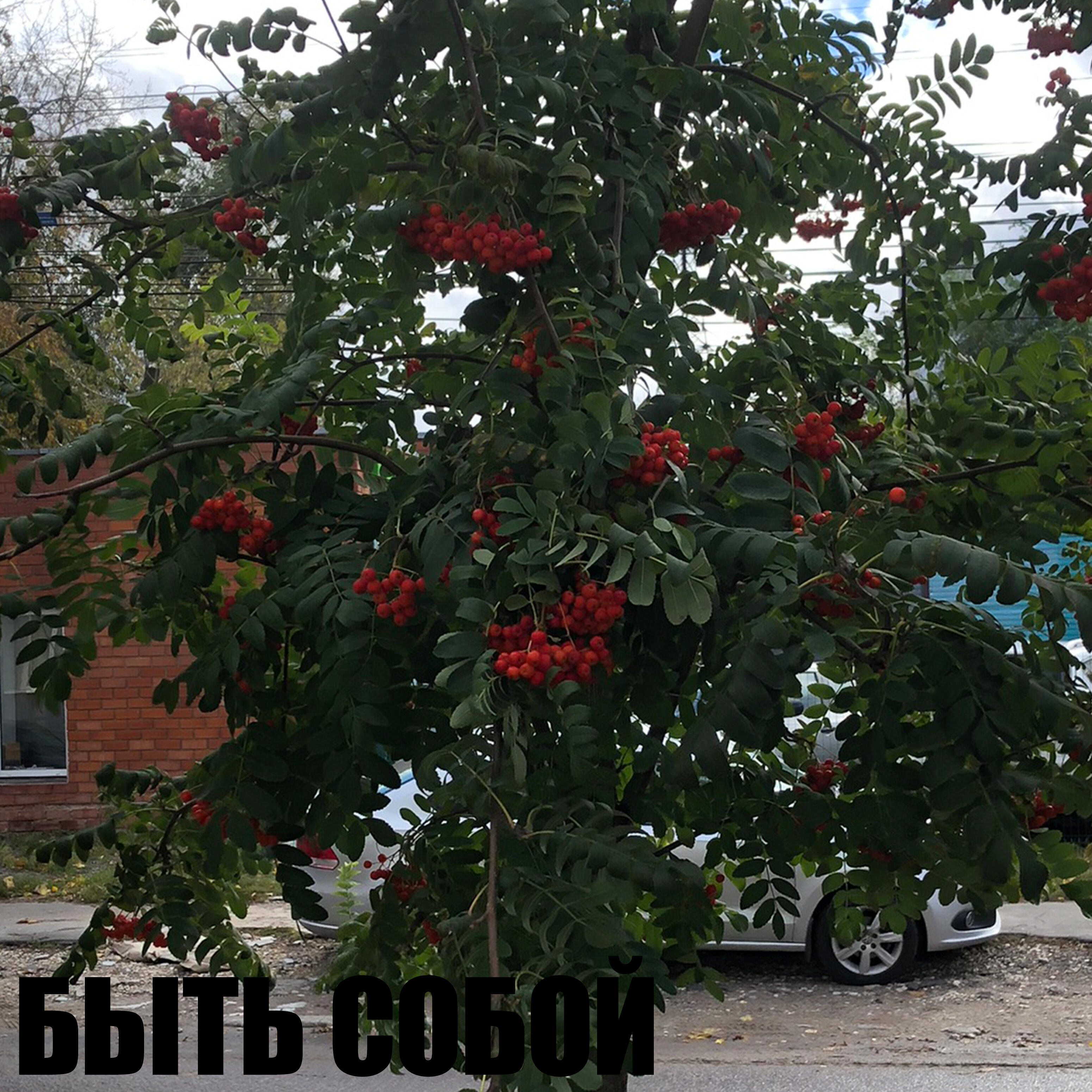 Релиз Быть собой