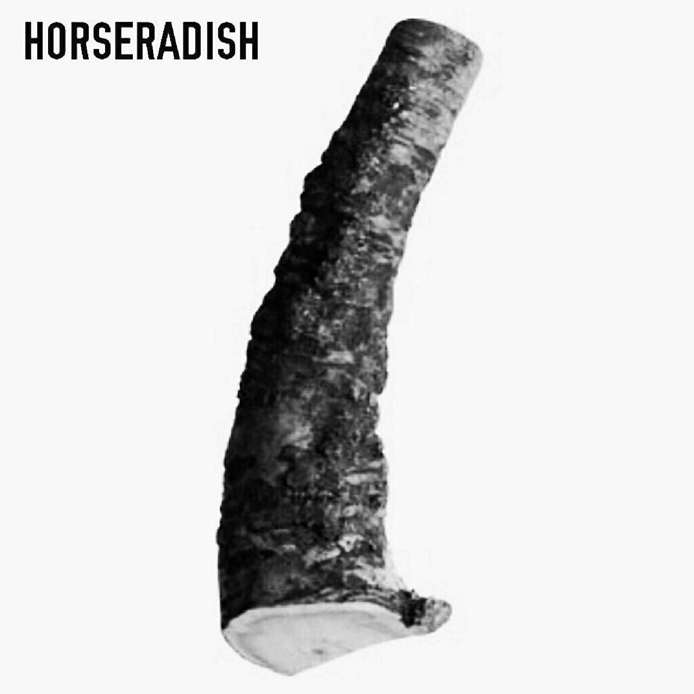 Релиз Horseradish