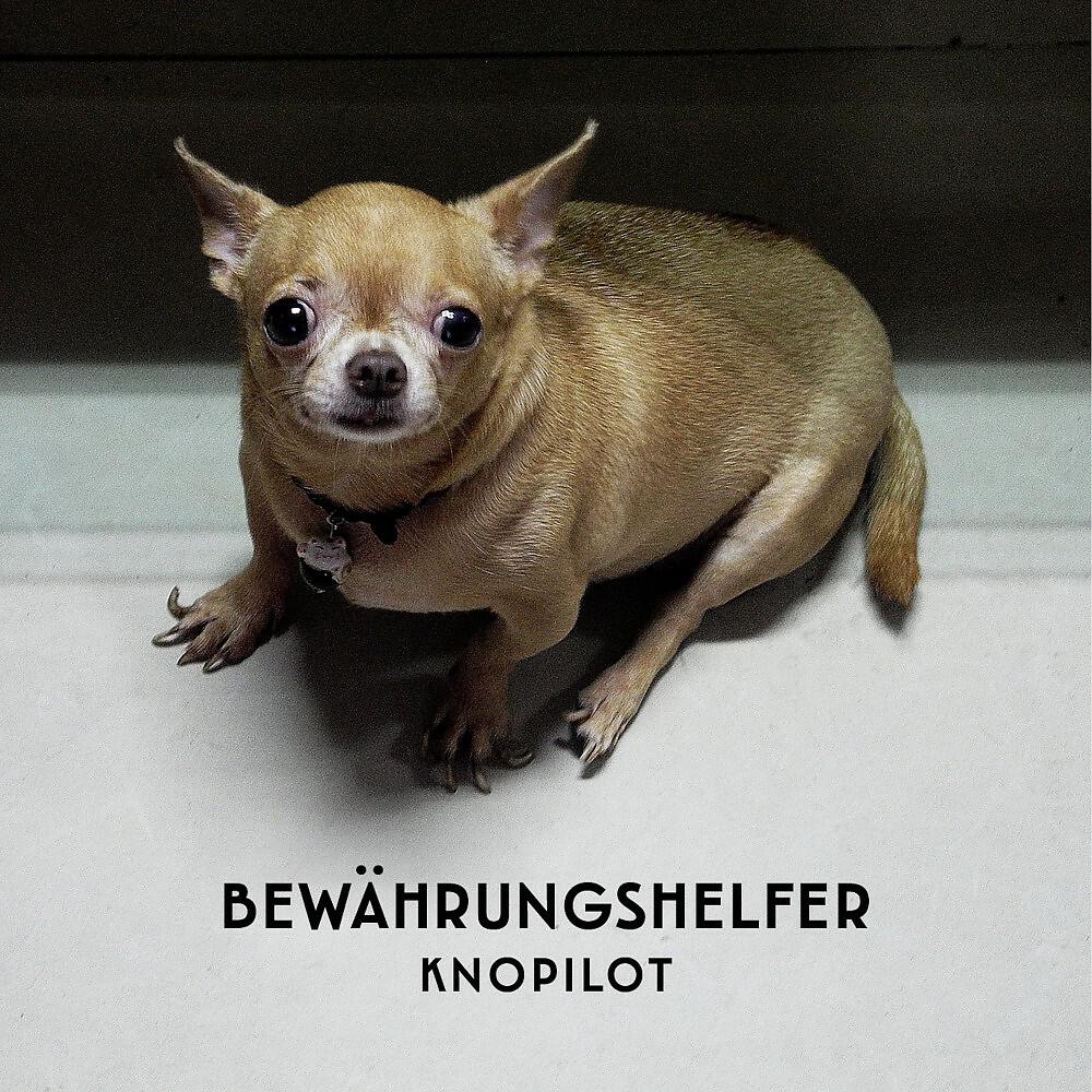 Релиз Bewährungshelfer