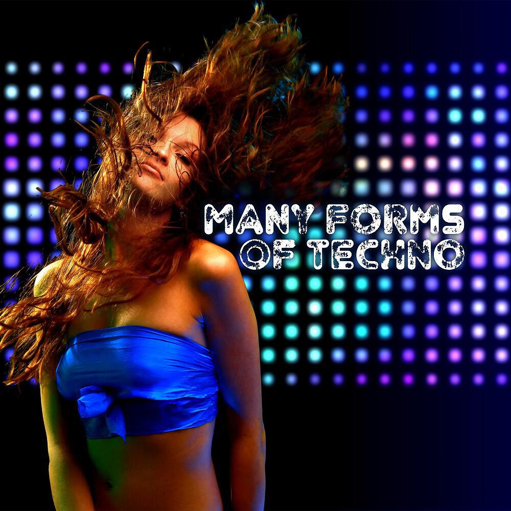 Релиз Many Forms of Techno:L a Journey Through Tech