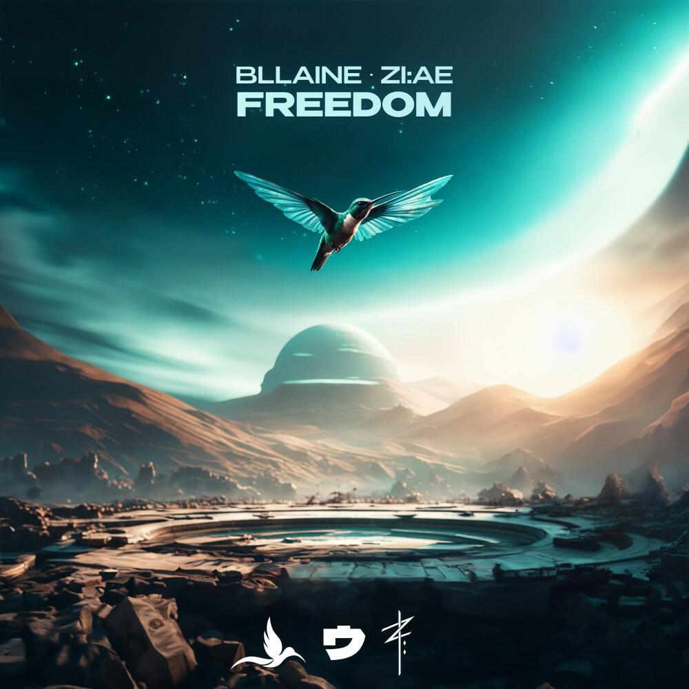 Релиз Freedom