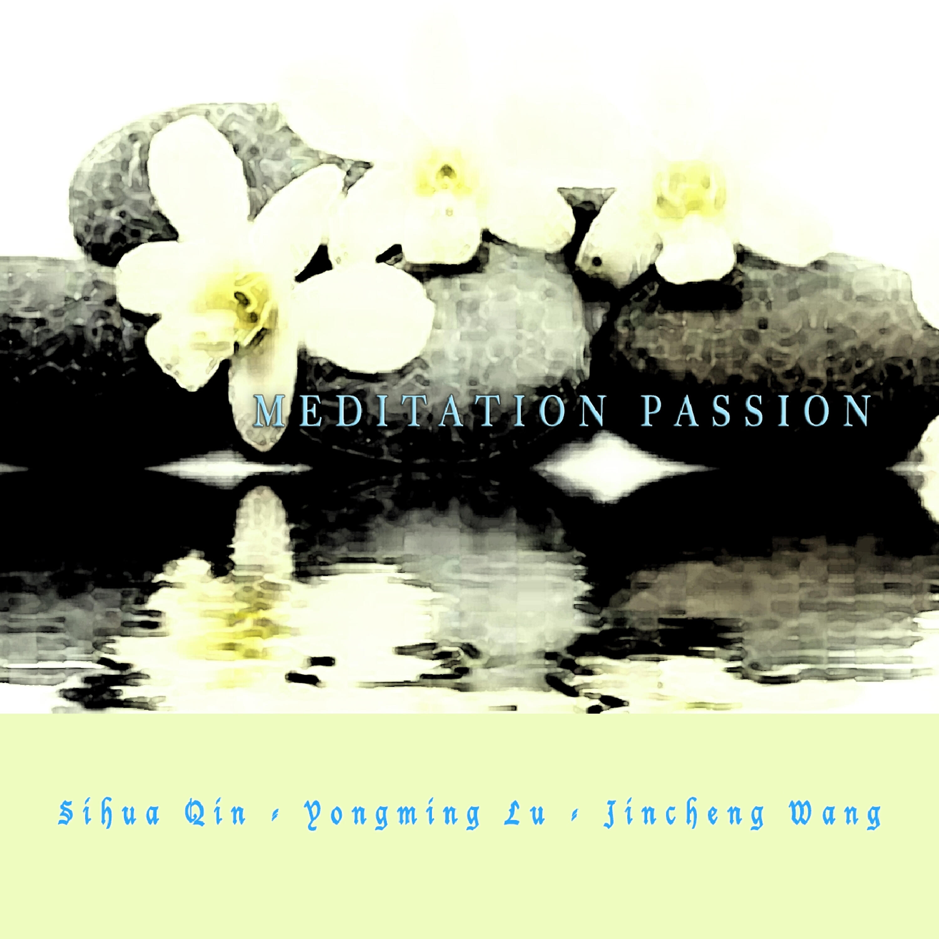 Релиз Meditation Passion