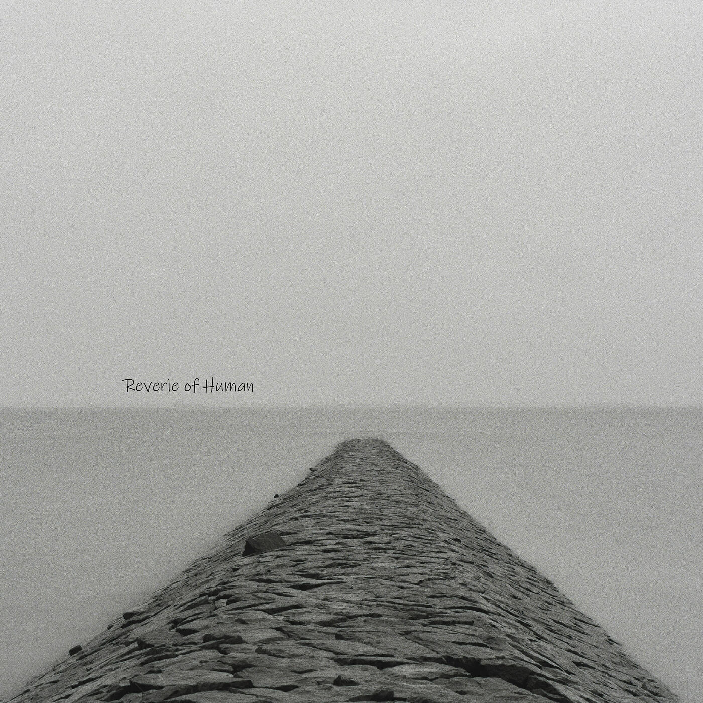 Релиз Reverie of Human