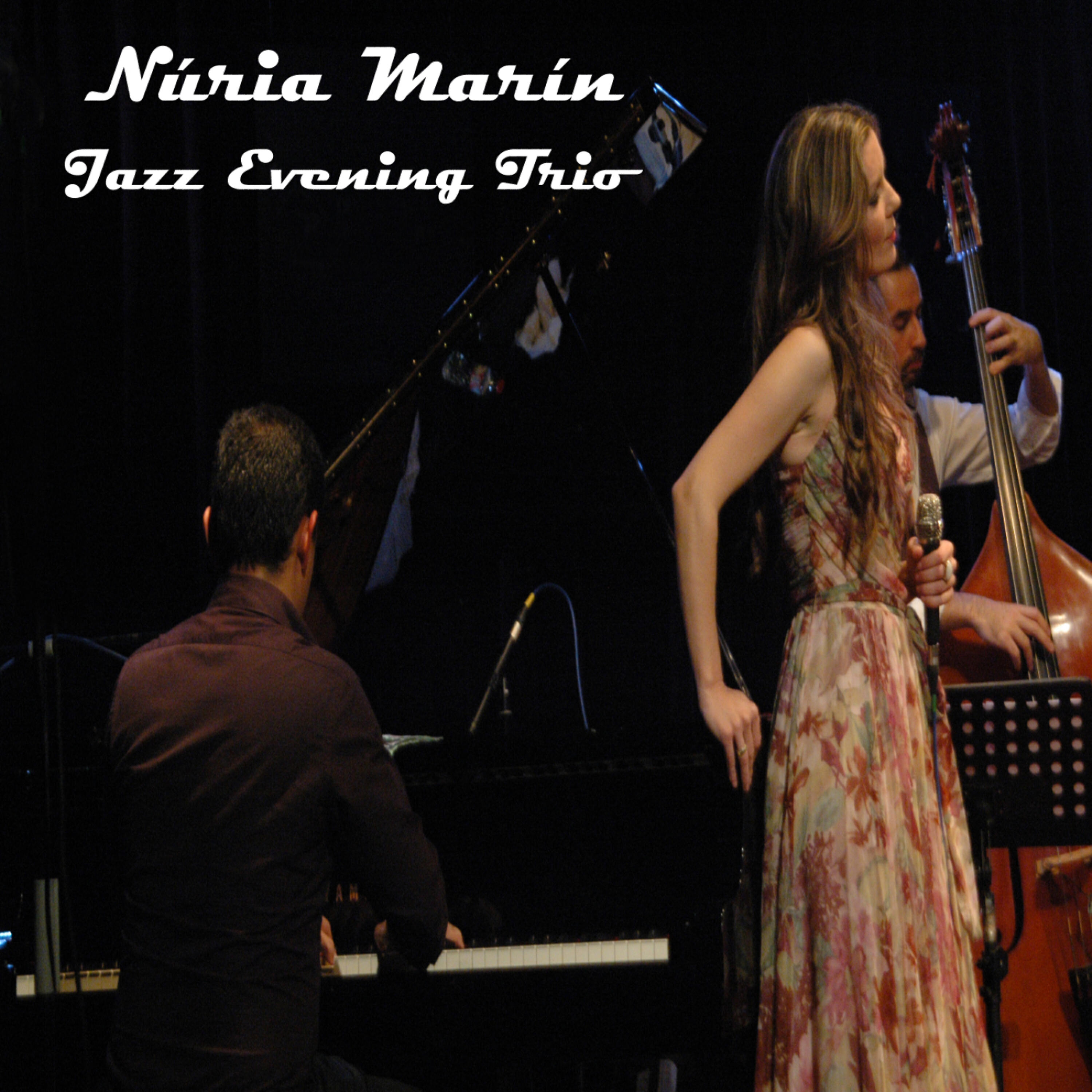 Релиз Jazz Evening Trio