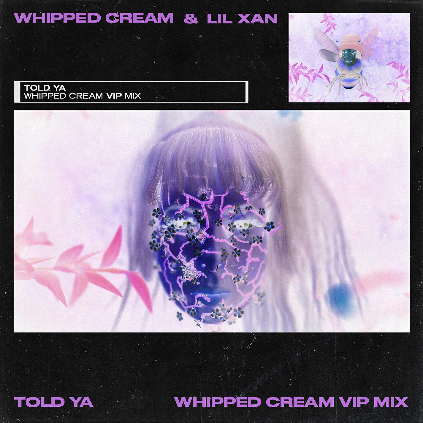 Релиз Told Ya (WHIPPED CREAM VIP MIX)