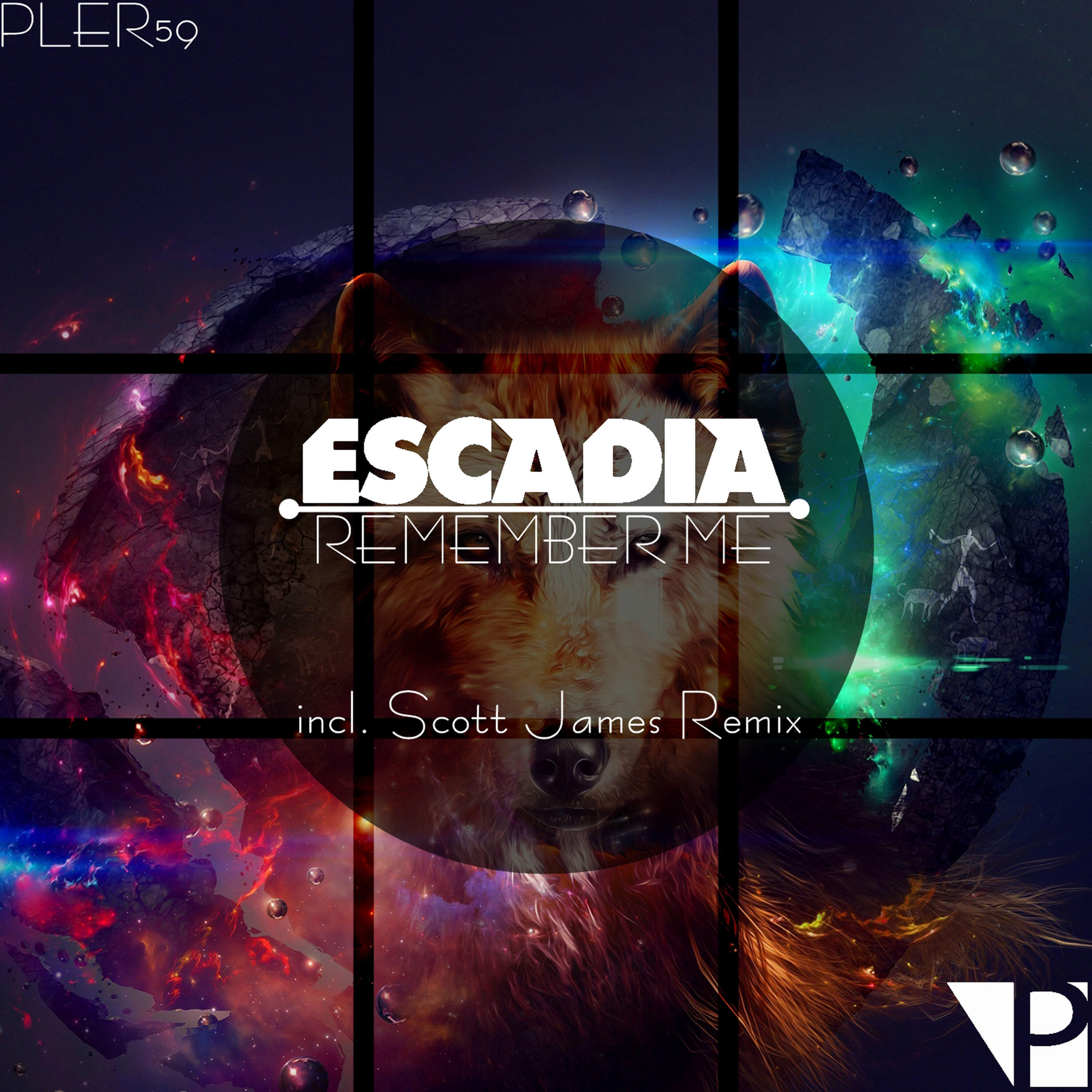 Релиз Remember Me