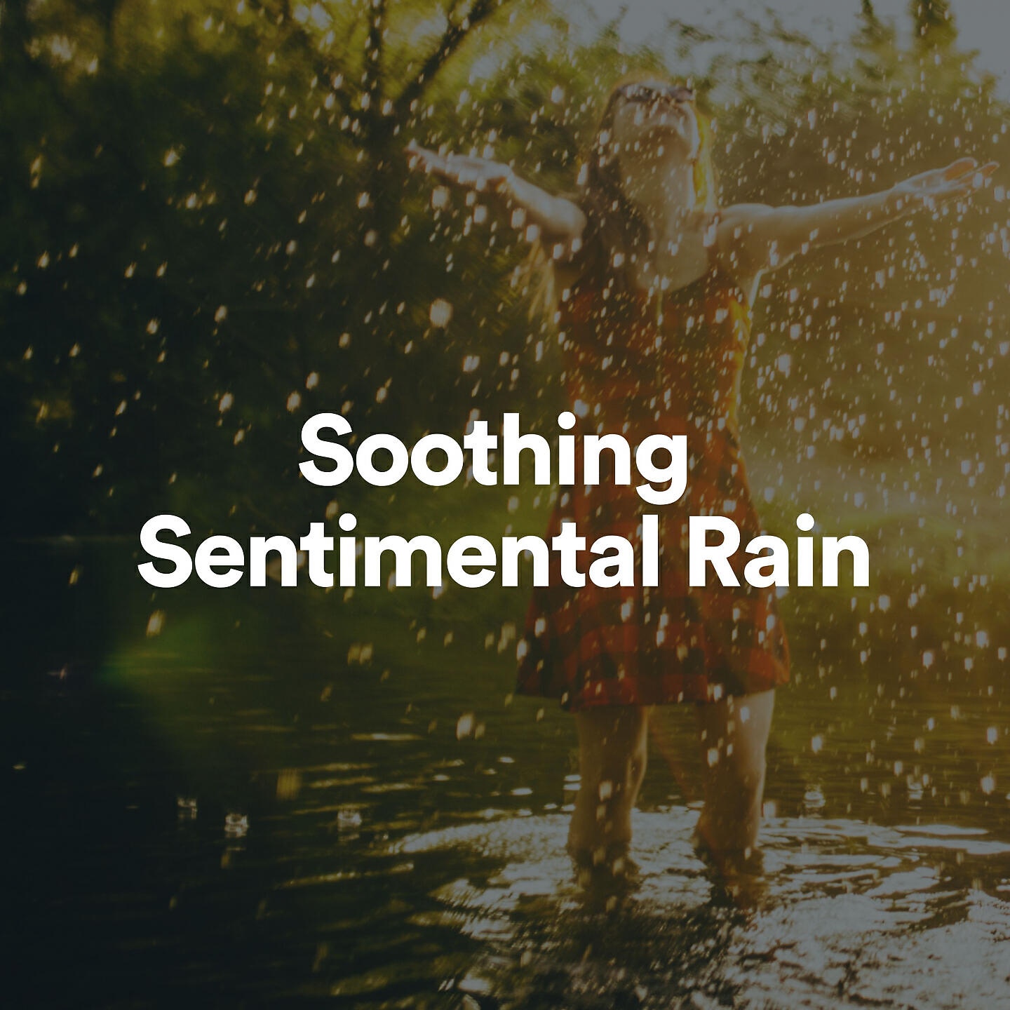Rain Sounds, Nature Sounds for Sleep and Relaxation, Nature Therapy - Mystical Rain
