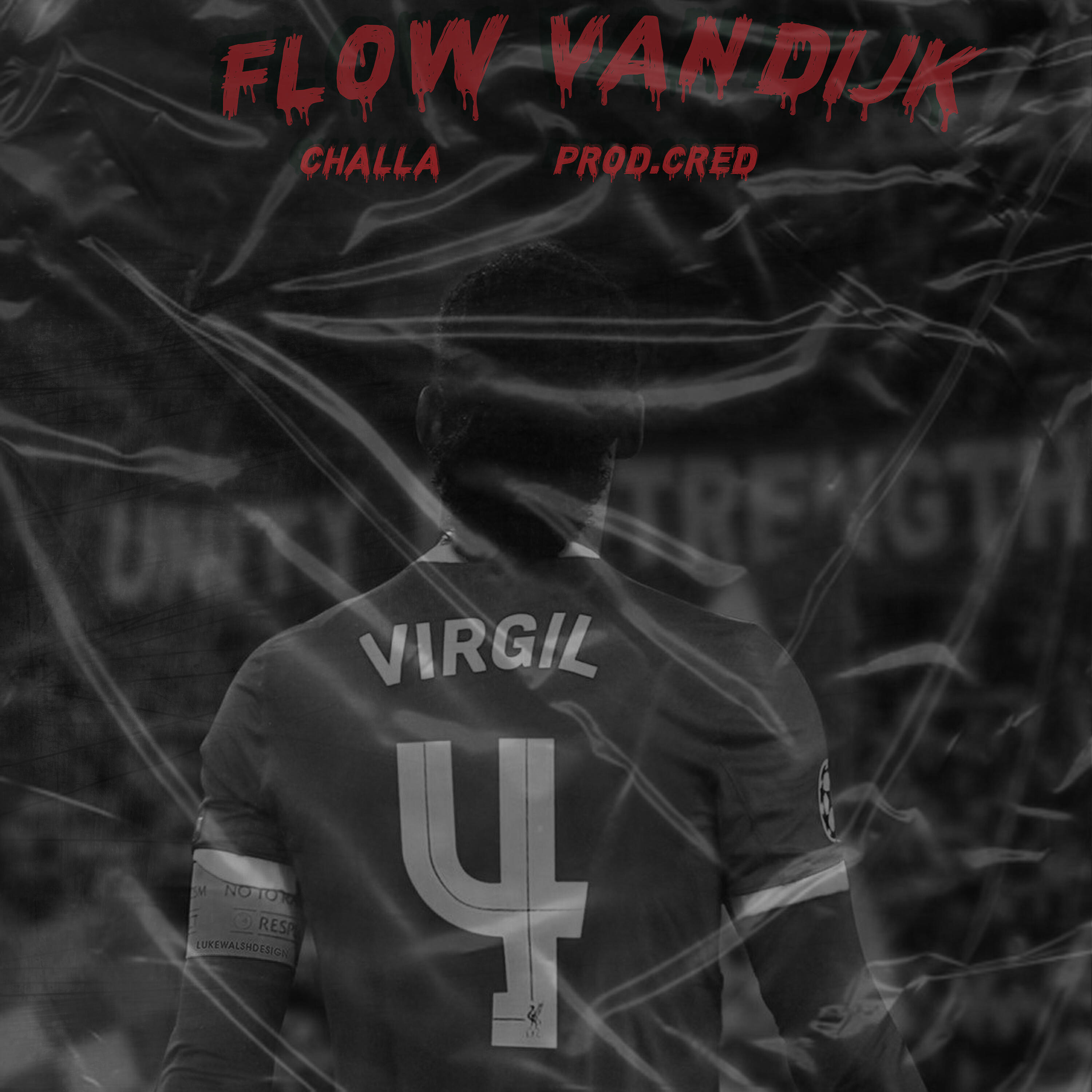 Релиз Flow Van Dijk