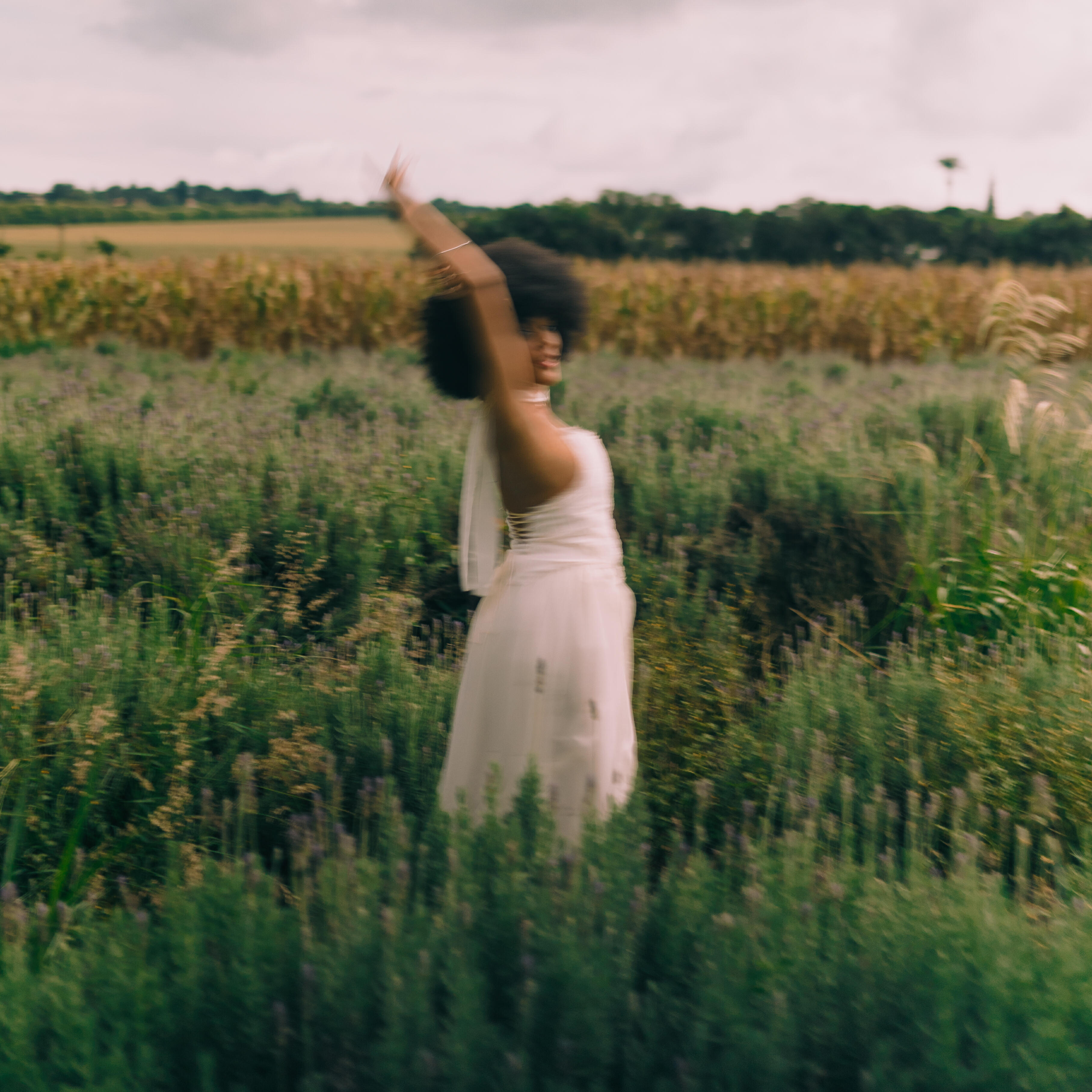 Релиз SERENA