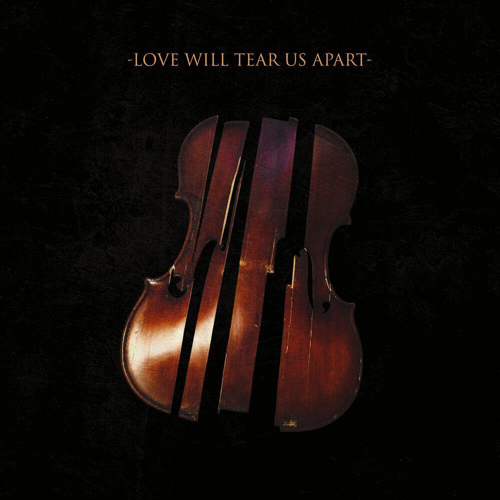 Трек Love Will Tear Us Apart (Cover)