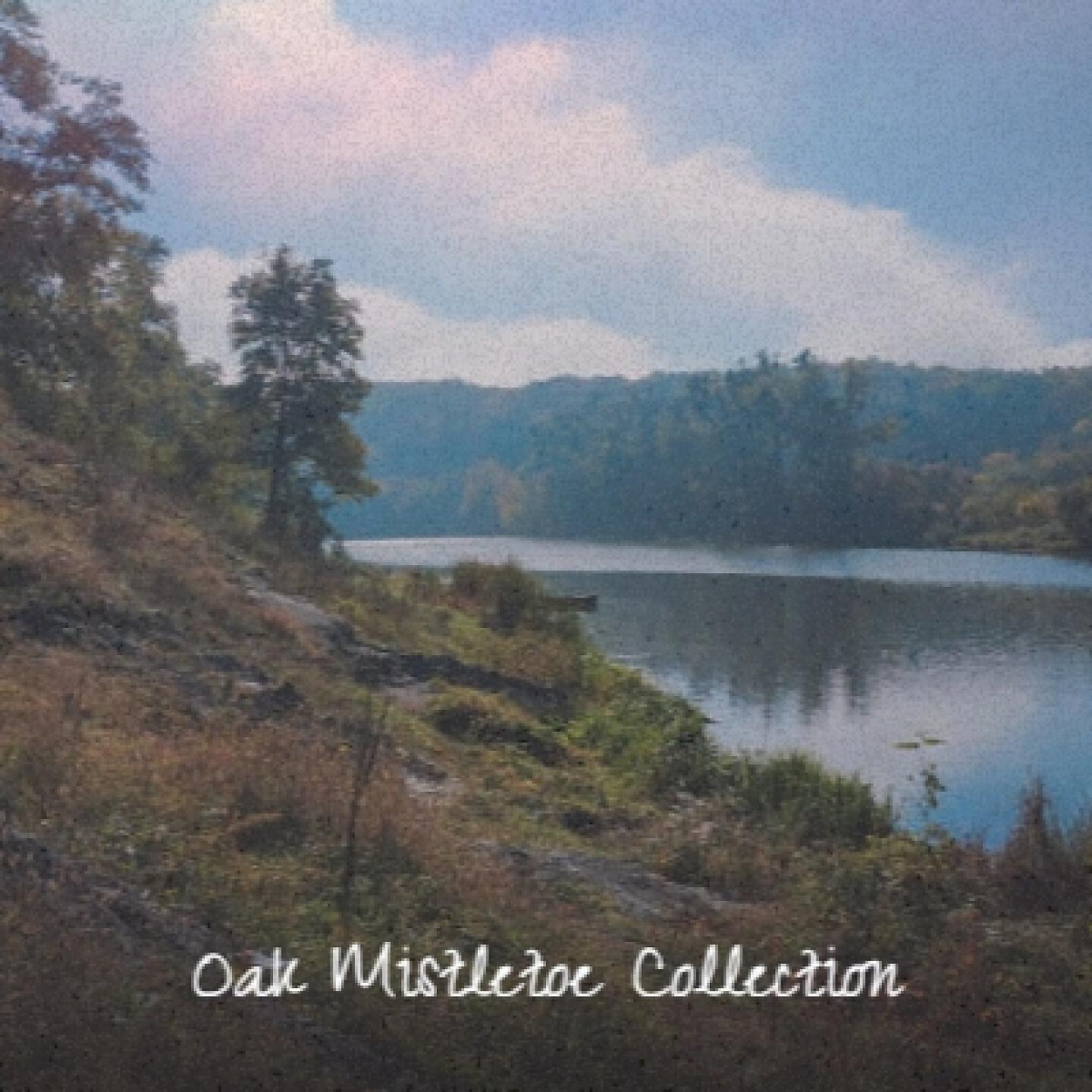 Релиз Oak Mistletoe Collection