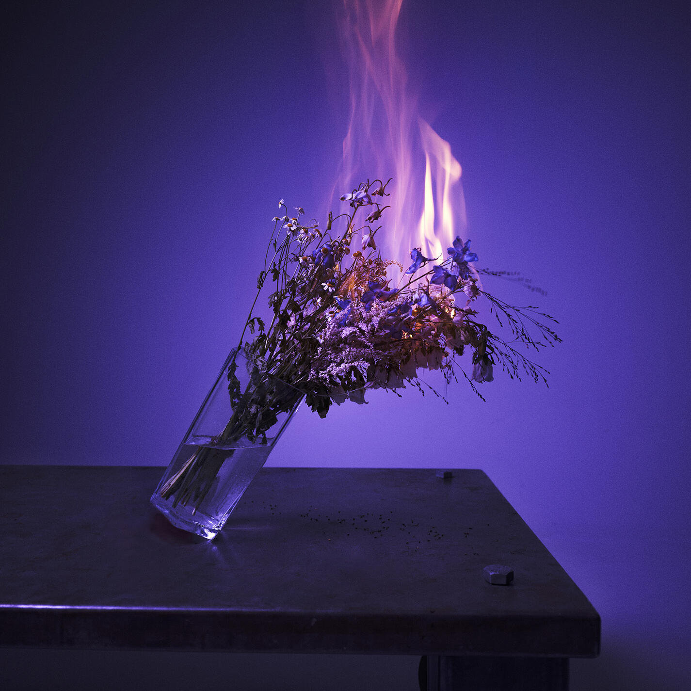 Релиз Trubbel & Kaos