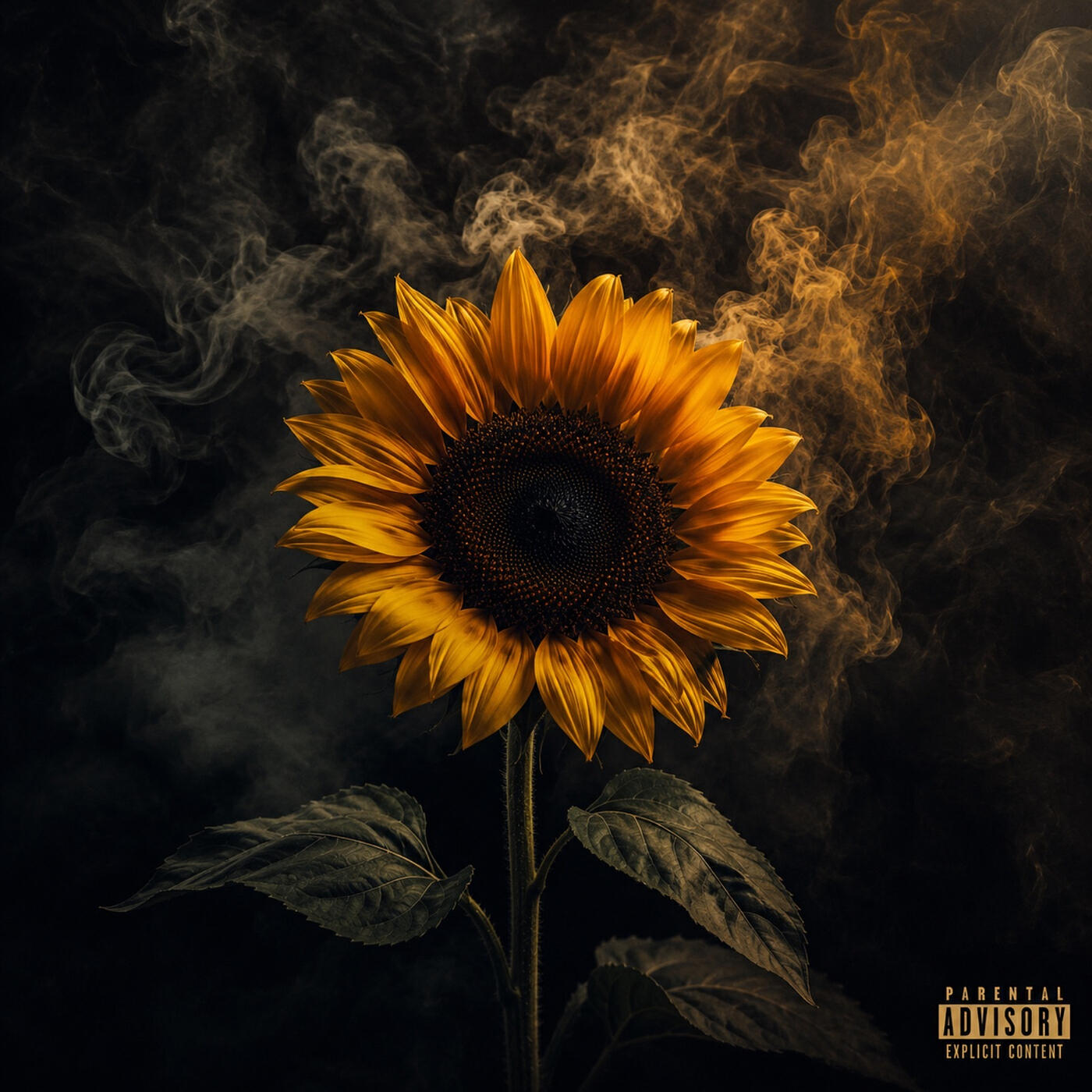Релиз Flower Power