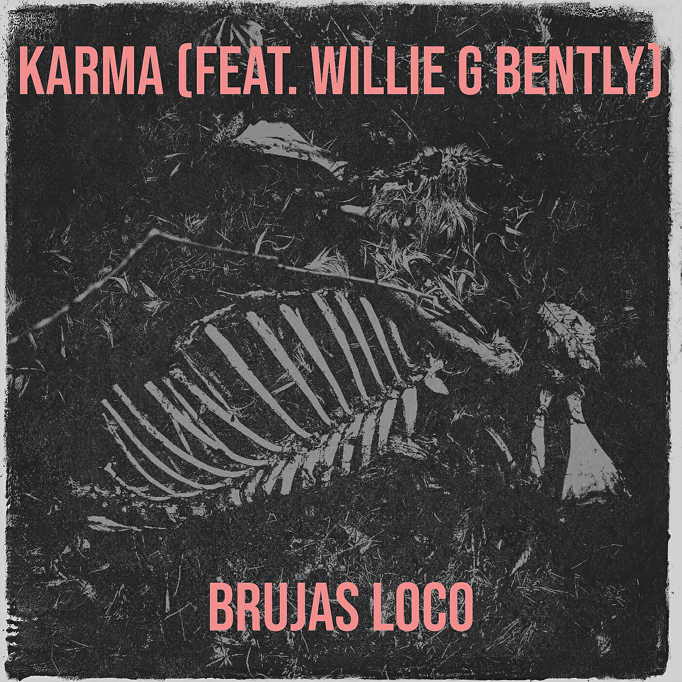 Релиз Karma
