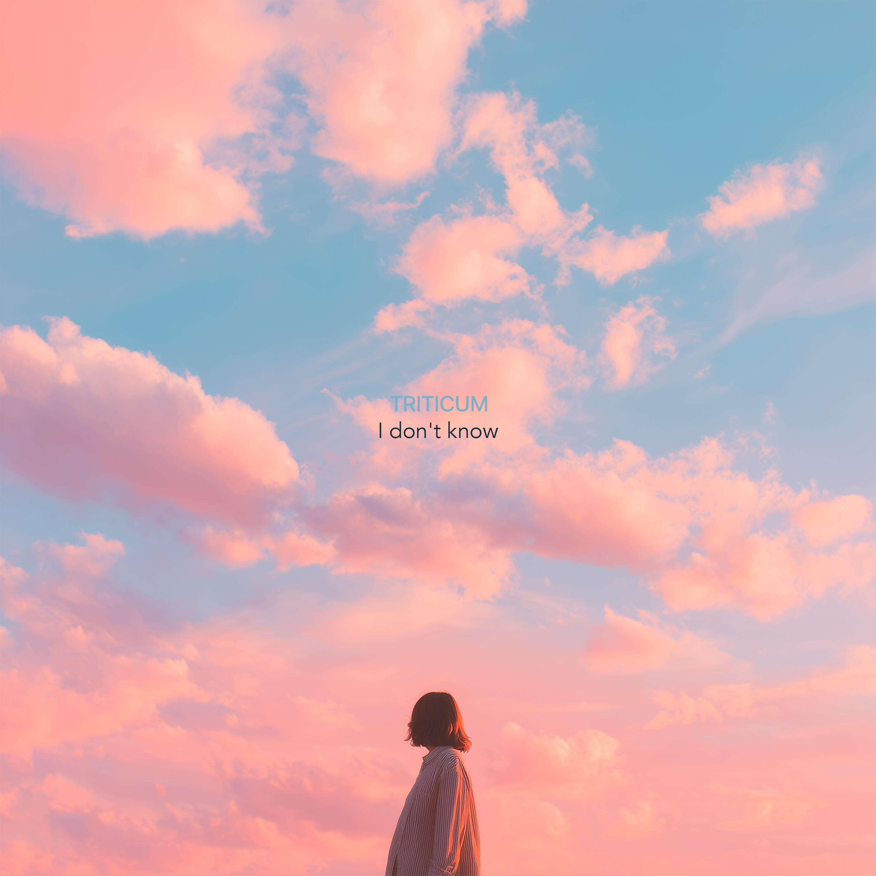 Релиз I Don't Know
