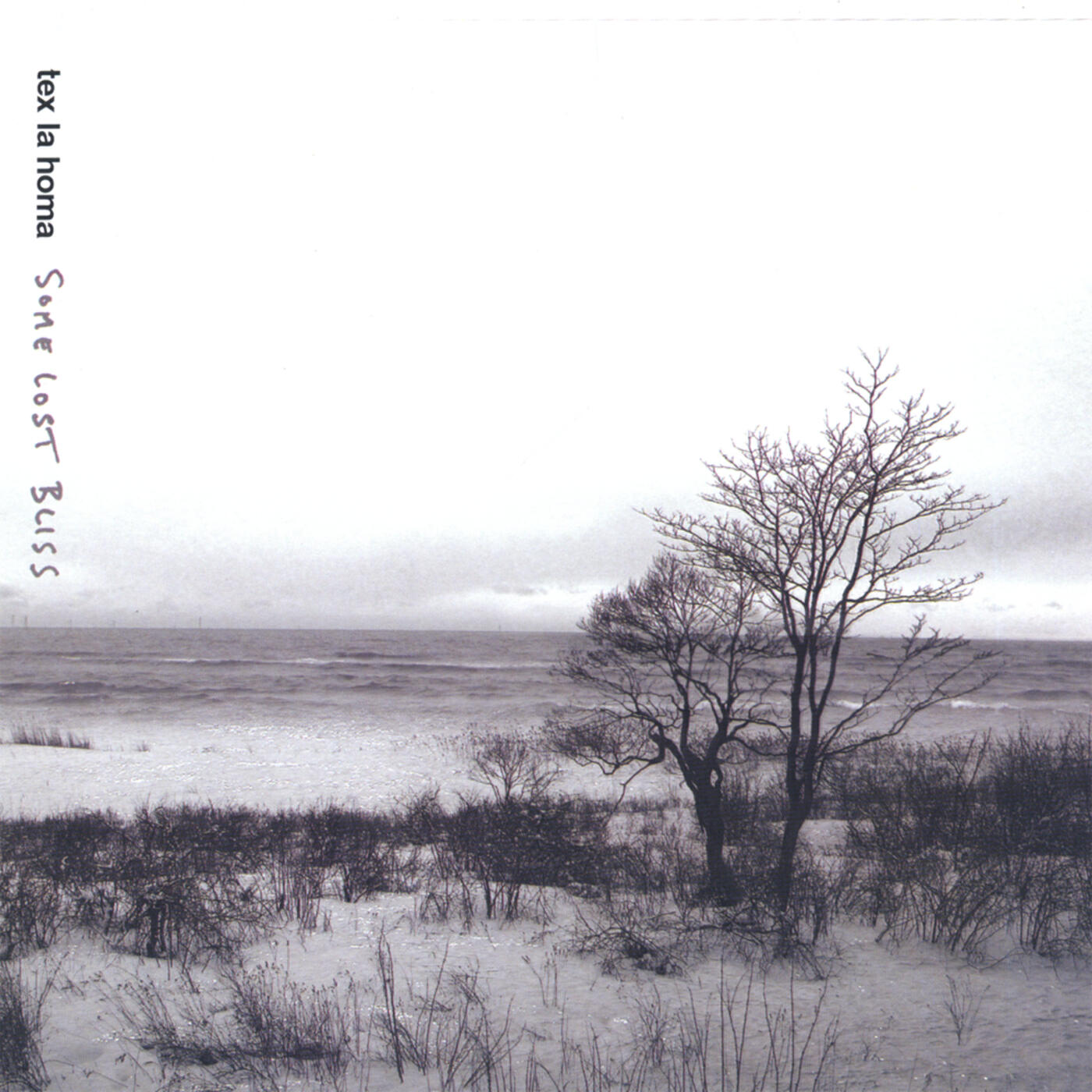 Релиз Some Lost Bliss