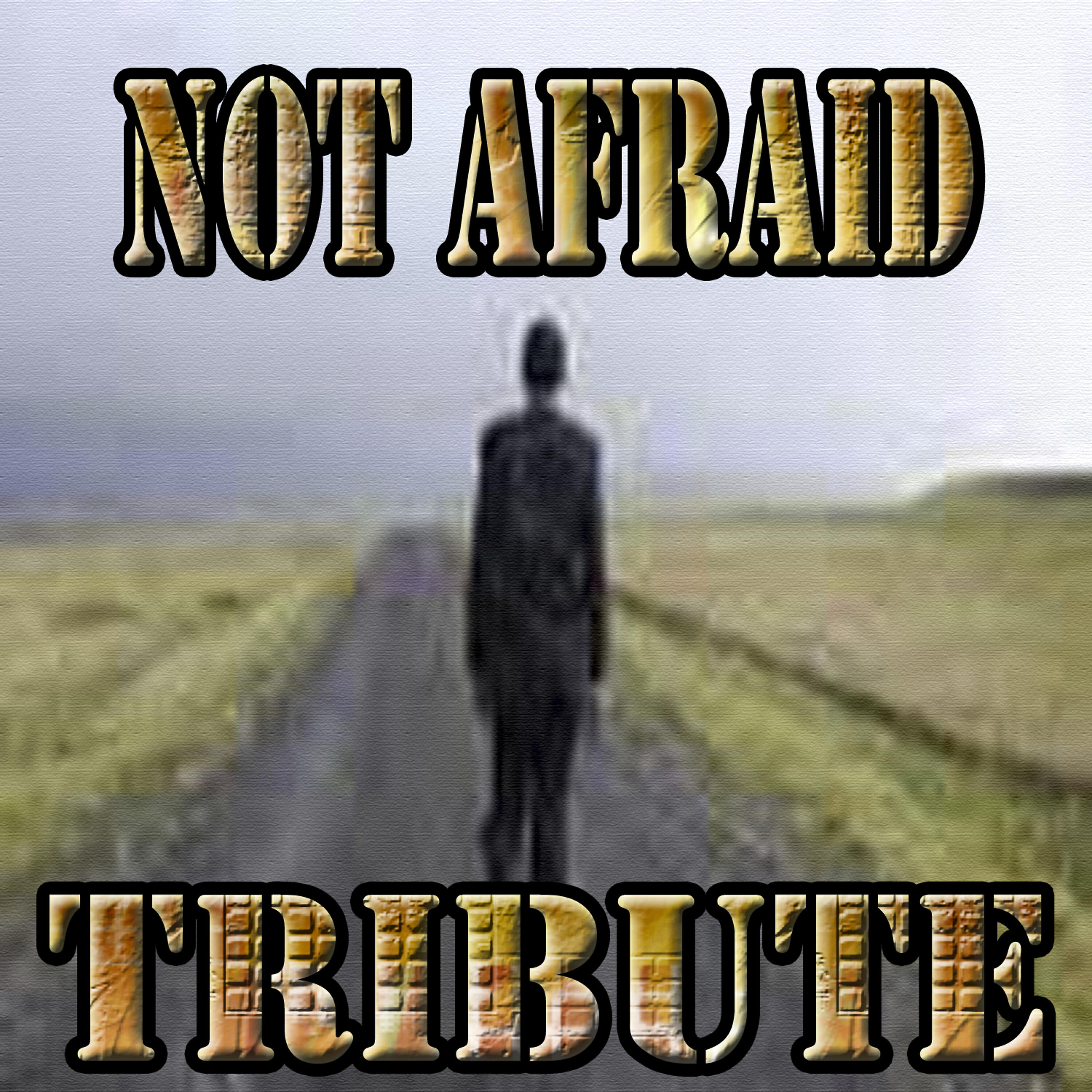 Релиз Not Afraid - Single (Tribute to Eminem)