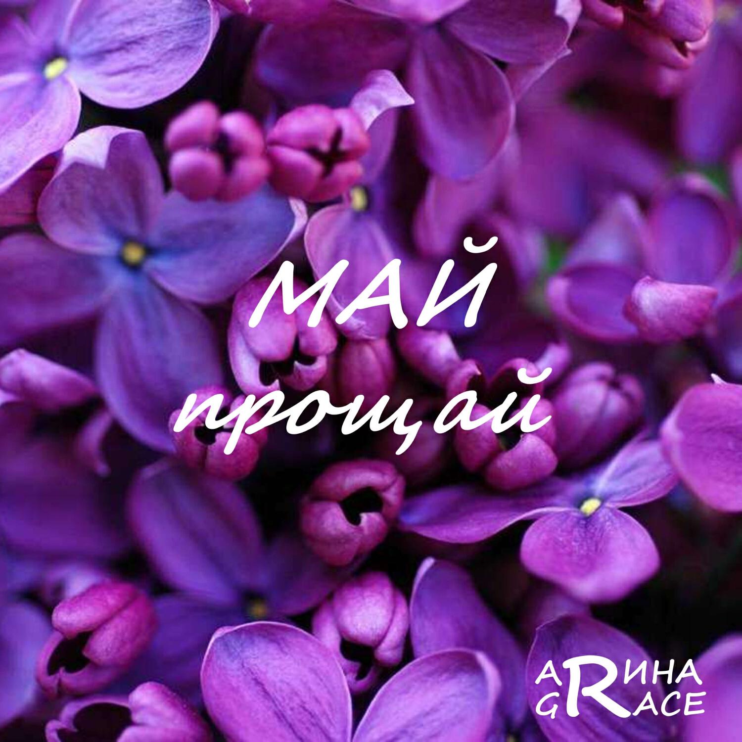 Релиз МАЙ прощай