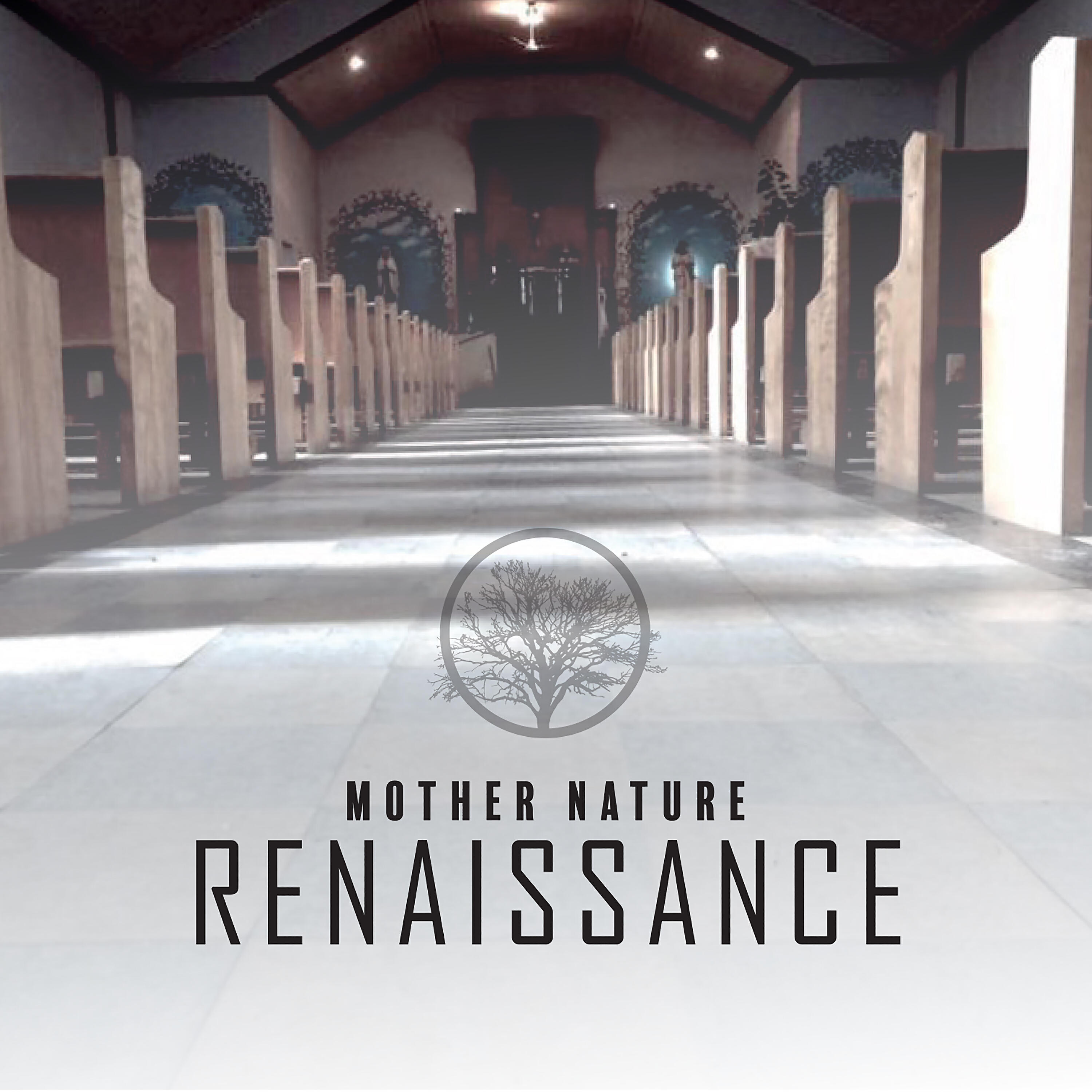 Релиз Renaissance
