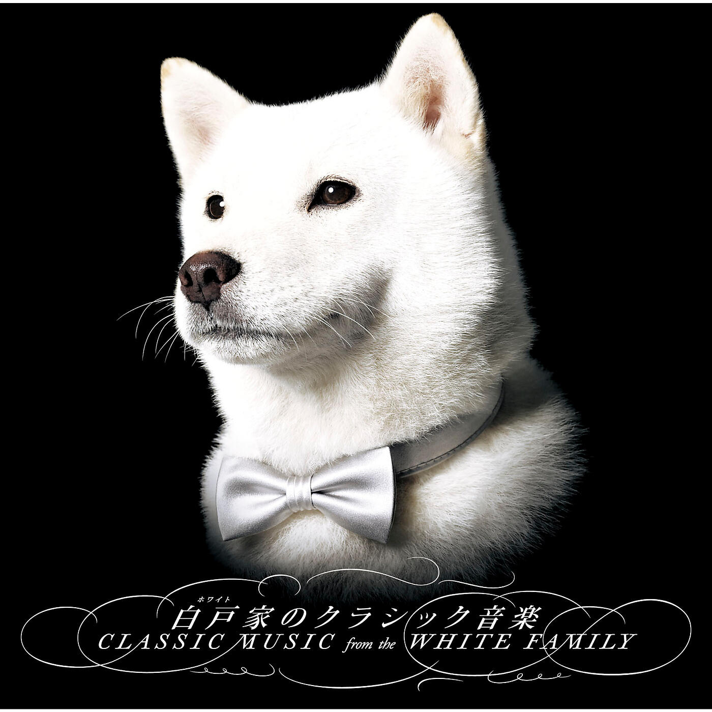 Релиз Classic Music from the White Family
