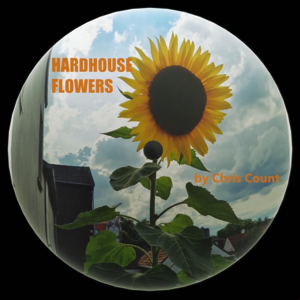 Релиз Hardhouse Flowers