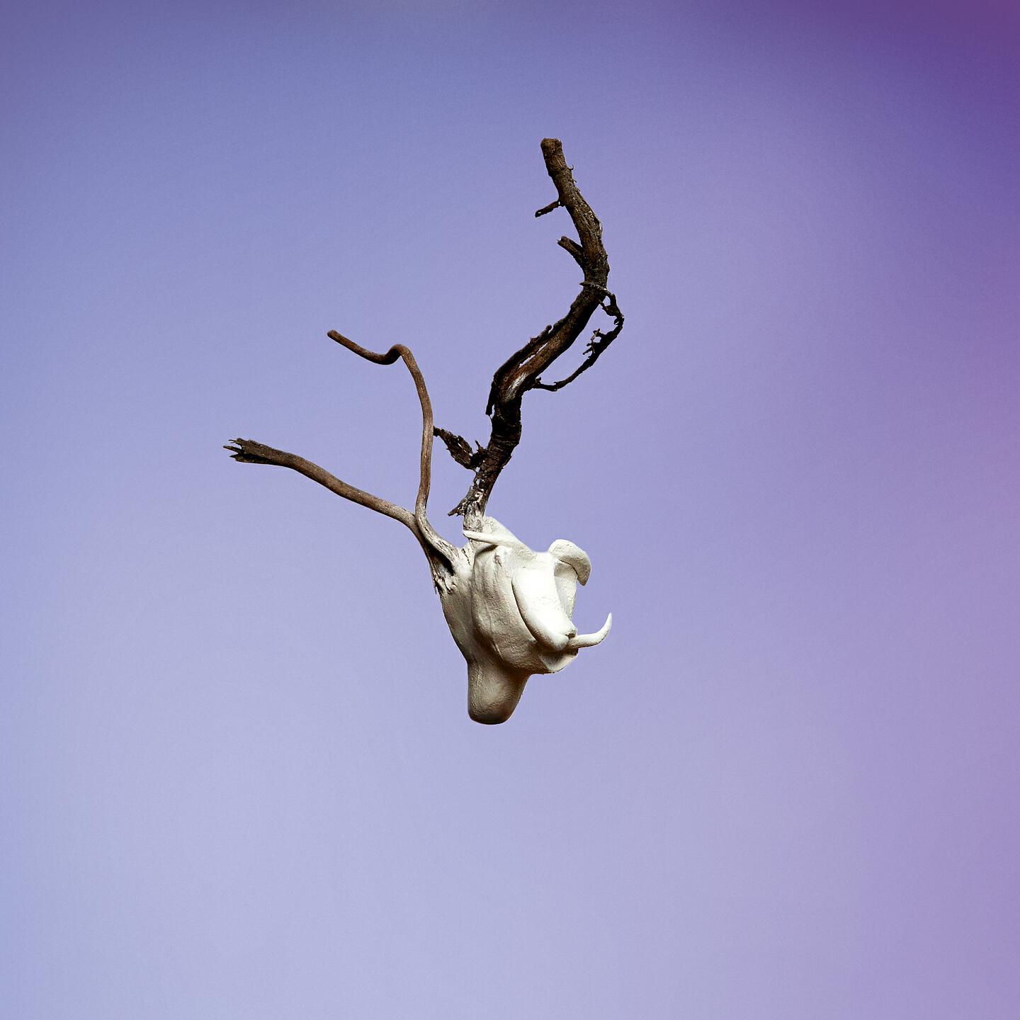 Релиз Morph