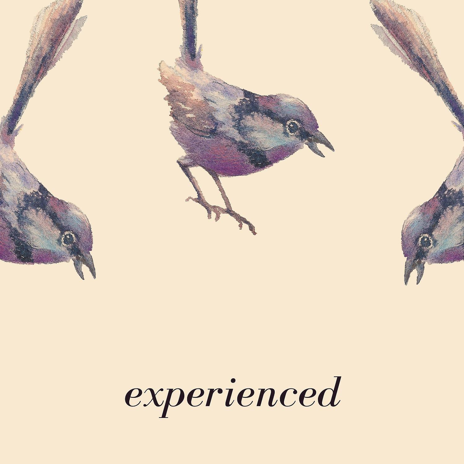 Релиз Experienced