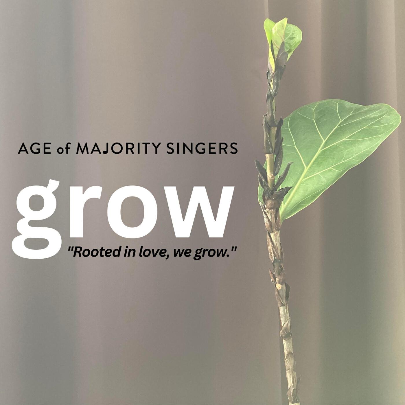 Релиз Grow