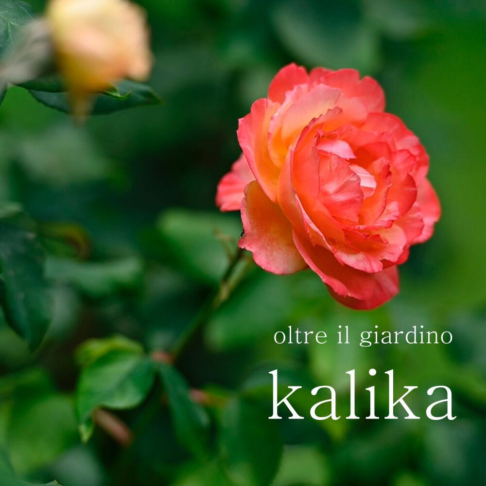 Релиз Oltre il giardino