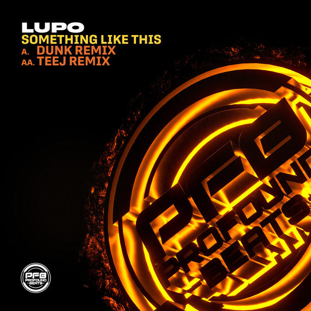 Релиз Something Like Dis (Remixes)