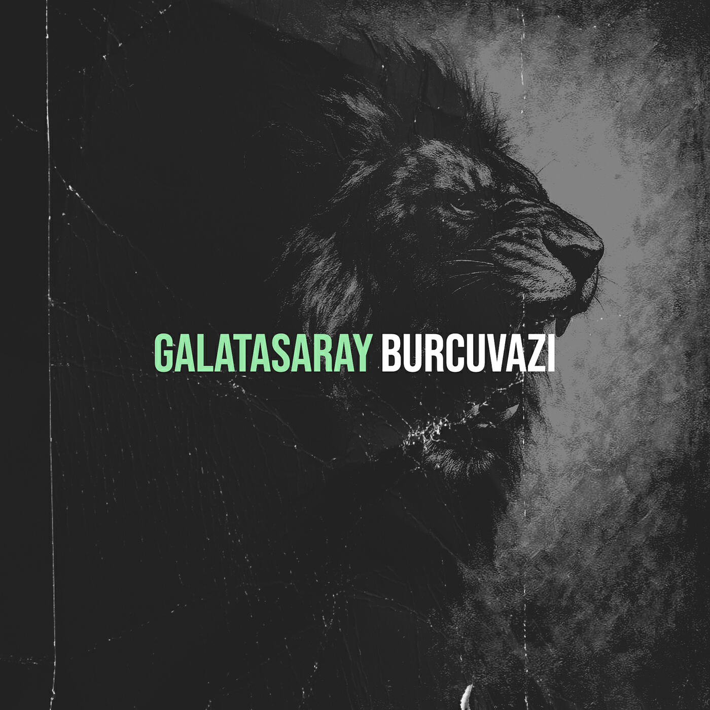 Релиз Galatasaray
