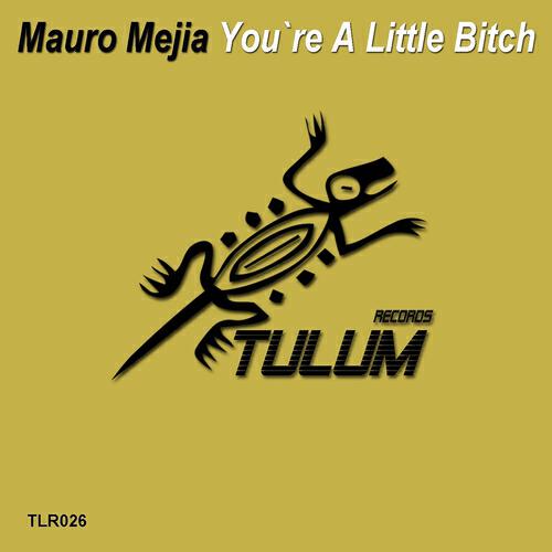 Релиз You're a Little Bitch