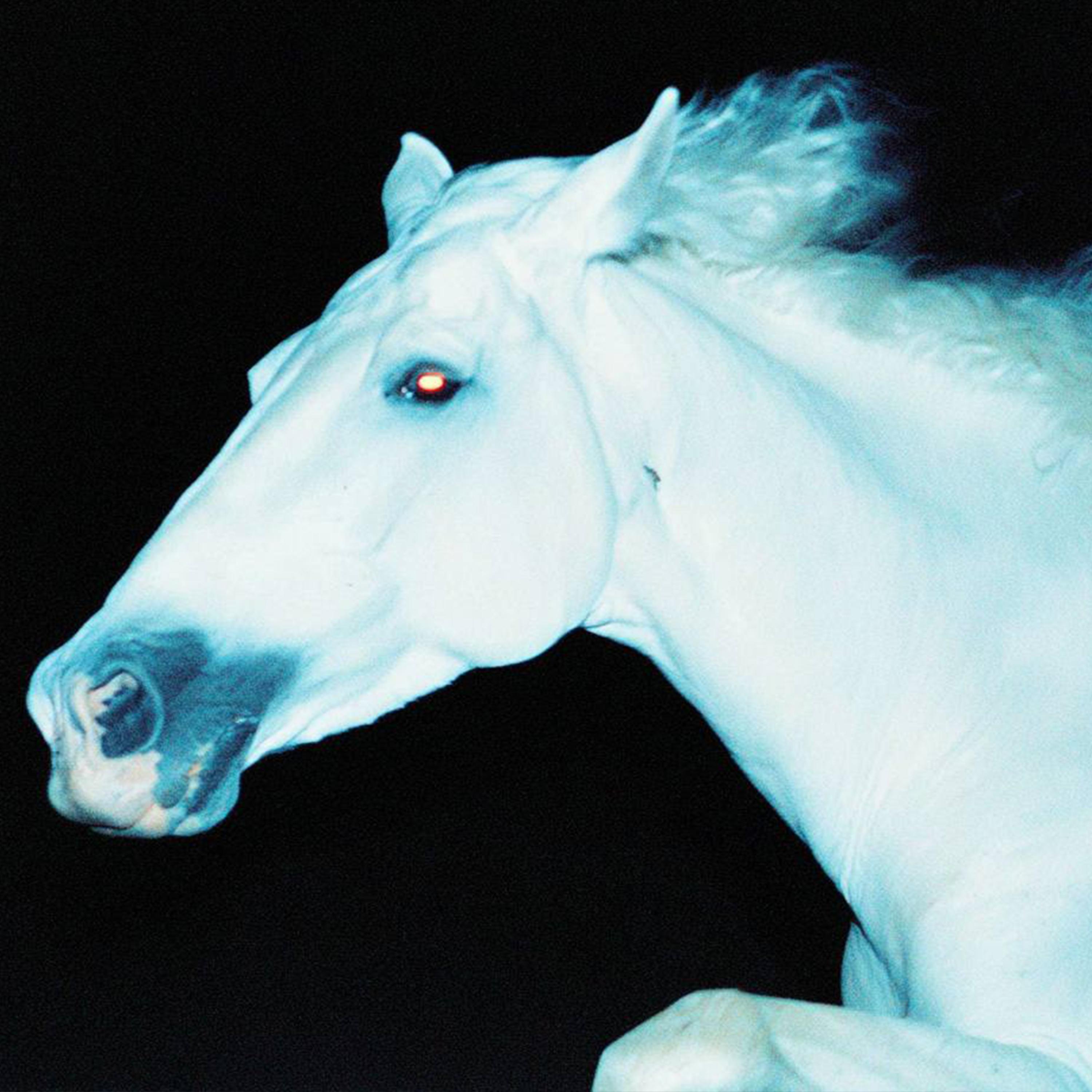 Релиз white horse