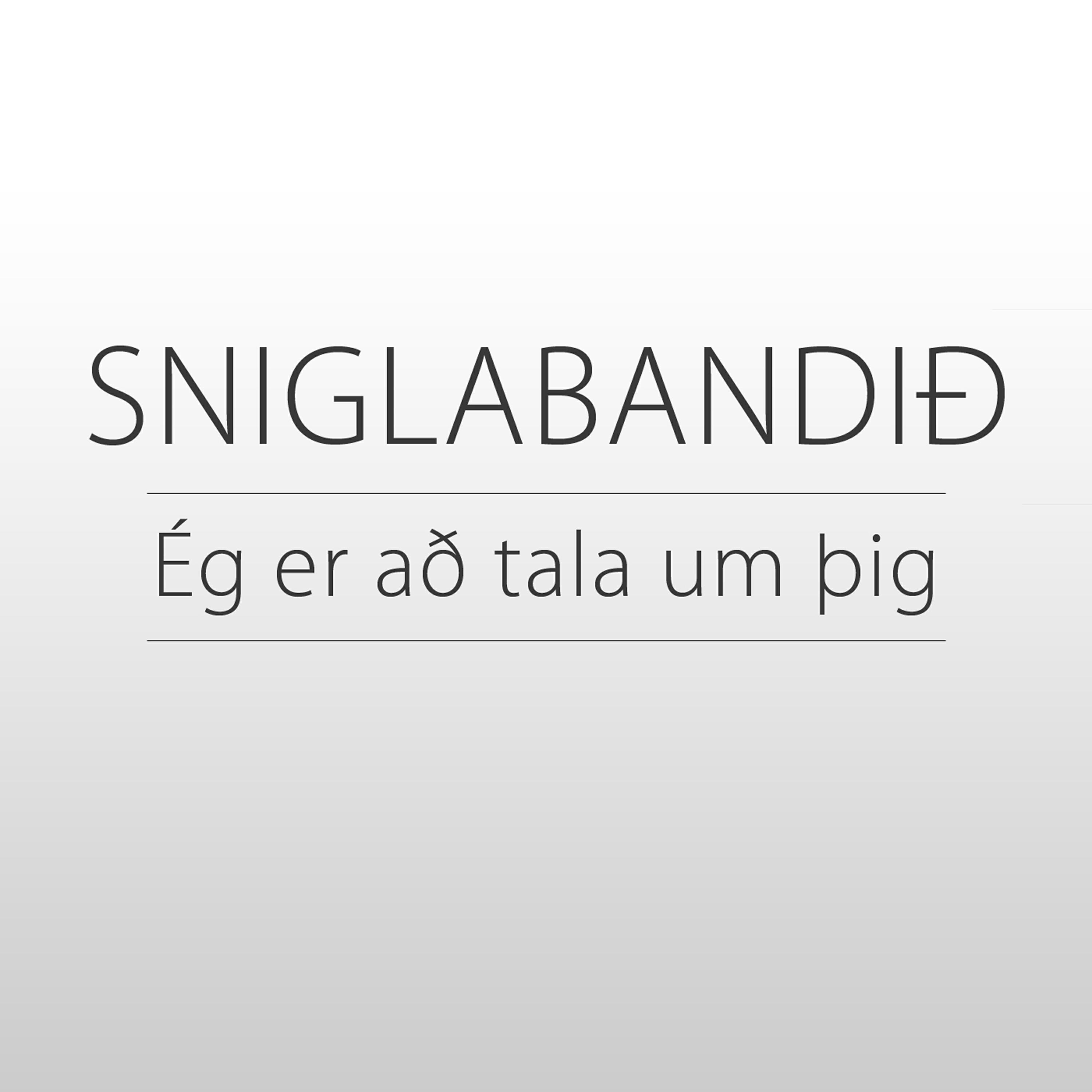 Релиз Ég Er Að Tala Um Þig